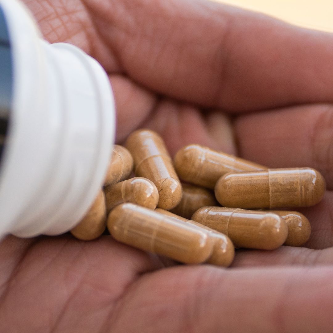 Maitake Kapsule Extrakt 90ks RoyalChaga.sk